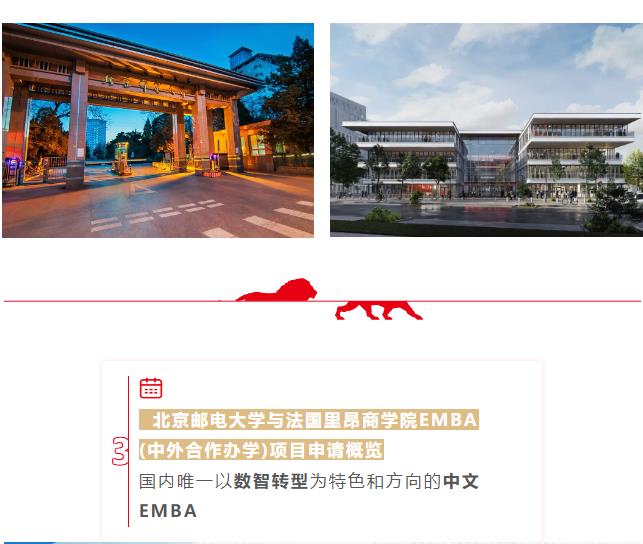 图片1174