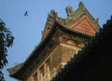 南京大学-荷兰马斯特里赫特大学EMBA