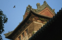 南京大学-荷兰马斯特里赫特大学EMBA